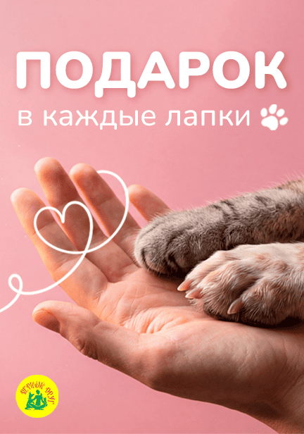 story image